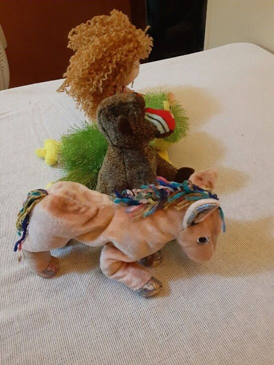 Ty Other - TYBeanie Babies lot of 4 Princess, Cheeks, Frogs punkie collection Horse Zodiac